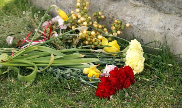 Woman Killed in Head-On Crash on West Thames St